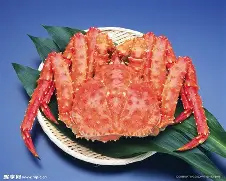 包含M-九游登录入口